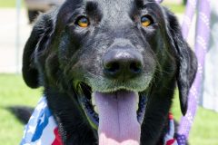Lantana, TX 4th of July Parade