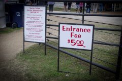 Texas Tulips - Seay Realty Group's Adventure