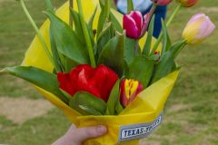 Texas Tulips - Seay Realty Group's Adventure