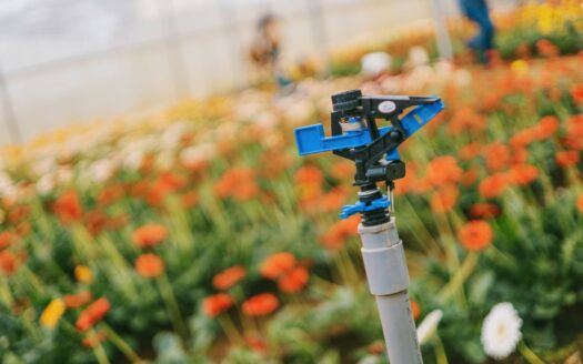 blue and gray garden sprinkler