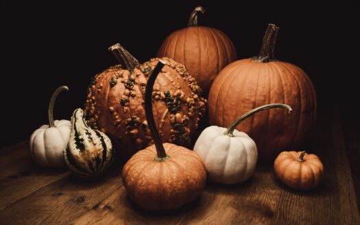 variety of pumpkins