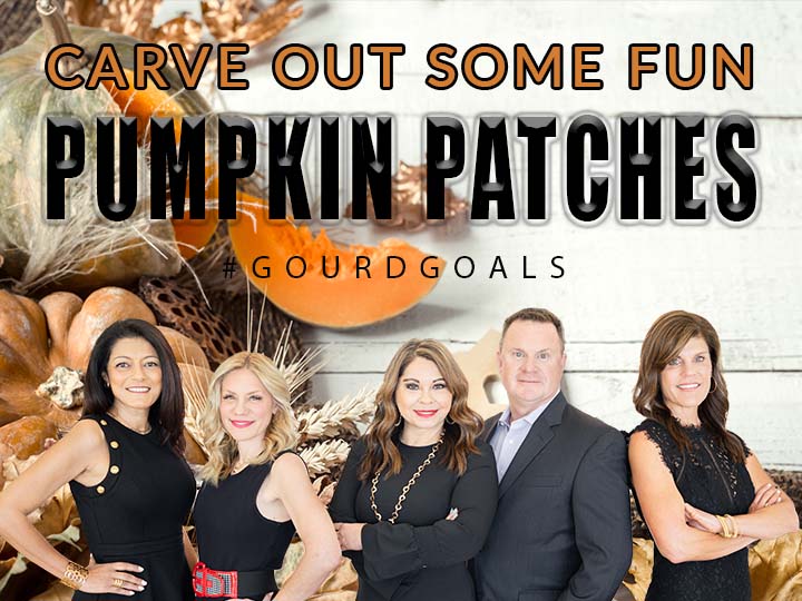 Pumpkin Patches copy