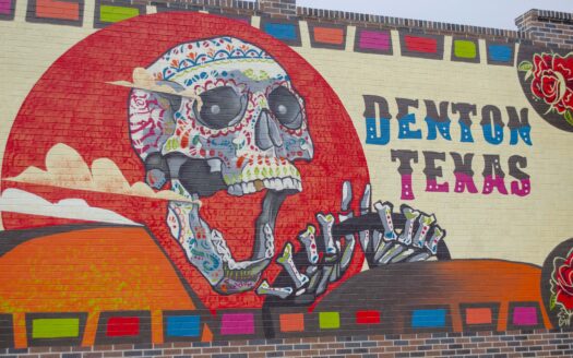 DFW Luxury Realtors Seay Realty Group