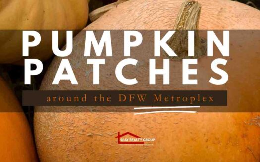 Pumpkin Patches - DFW Luxury Realtors Seay Realty Group