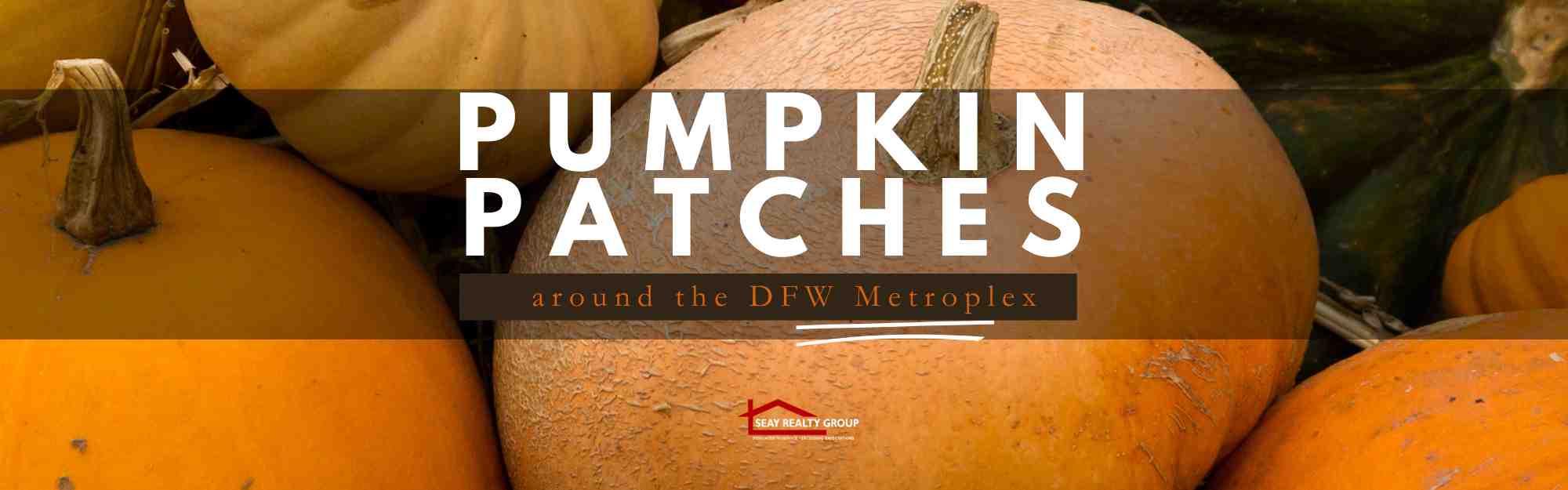 Pumpkin Patches - DFW Luxury Realtors Seay Realty Group