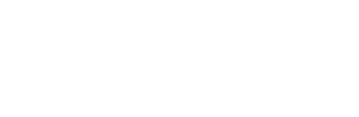 Seay Realty Group
