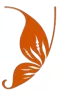 Lantana TX Monarch Butterfly in Community Logo